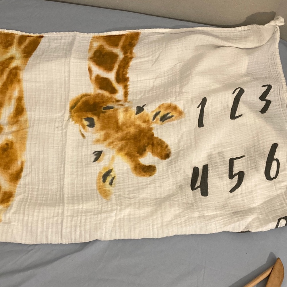 Modern baby month blanket